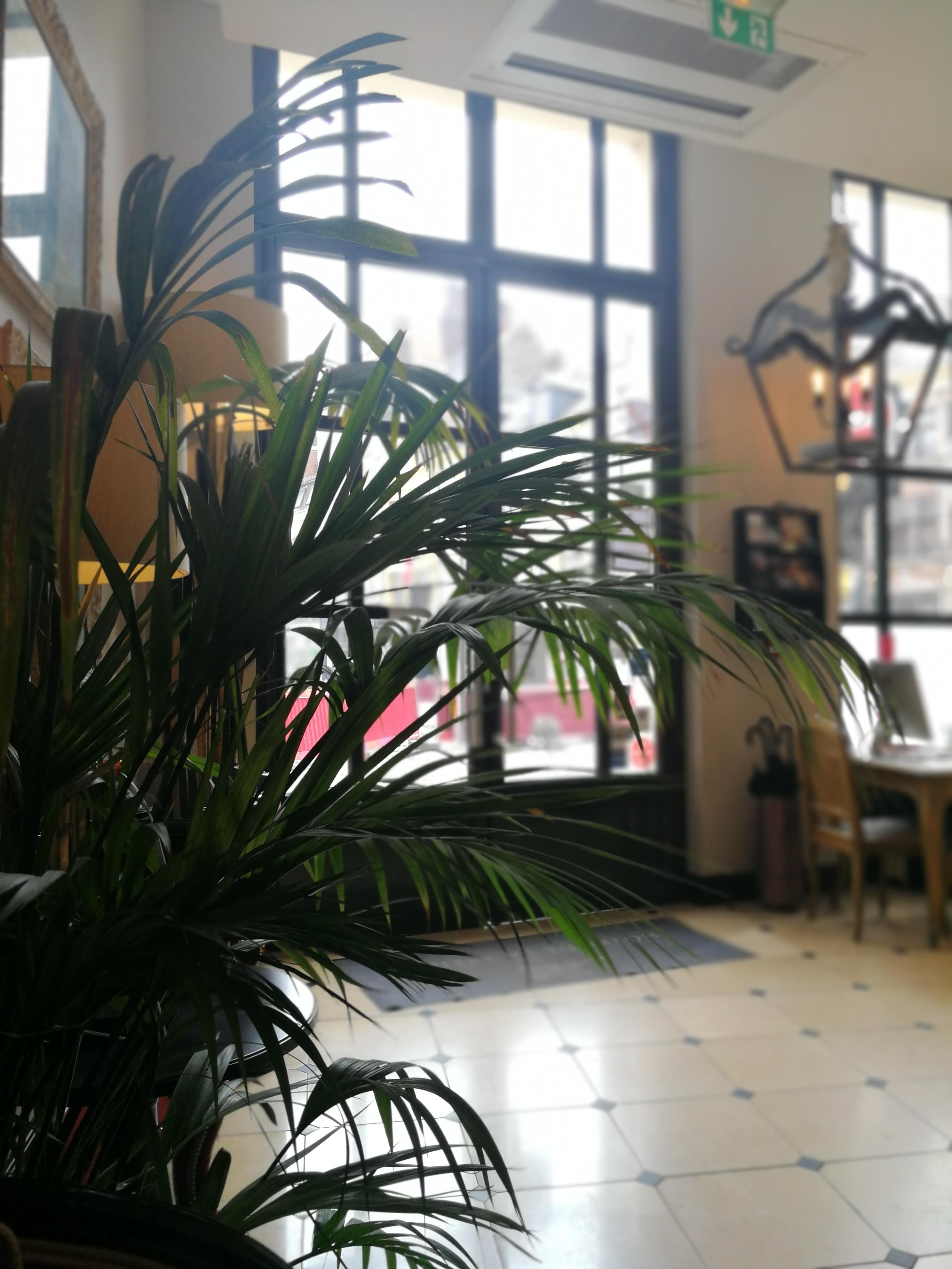 Hotel De La Treille Λιλ Εξωτερικό φωτογραφία